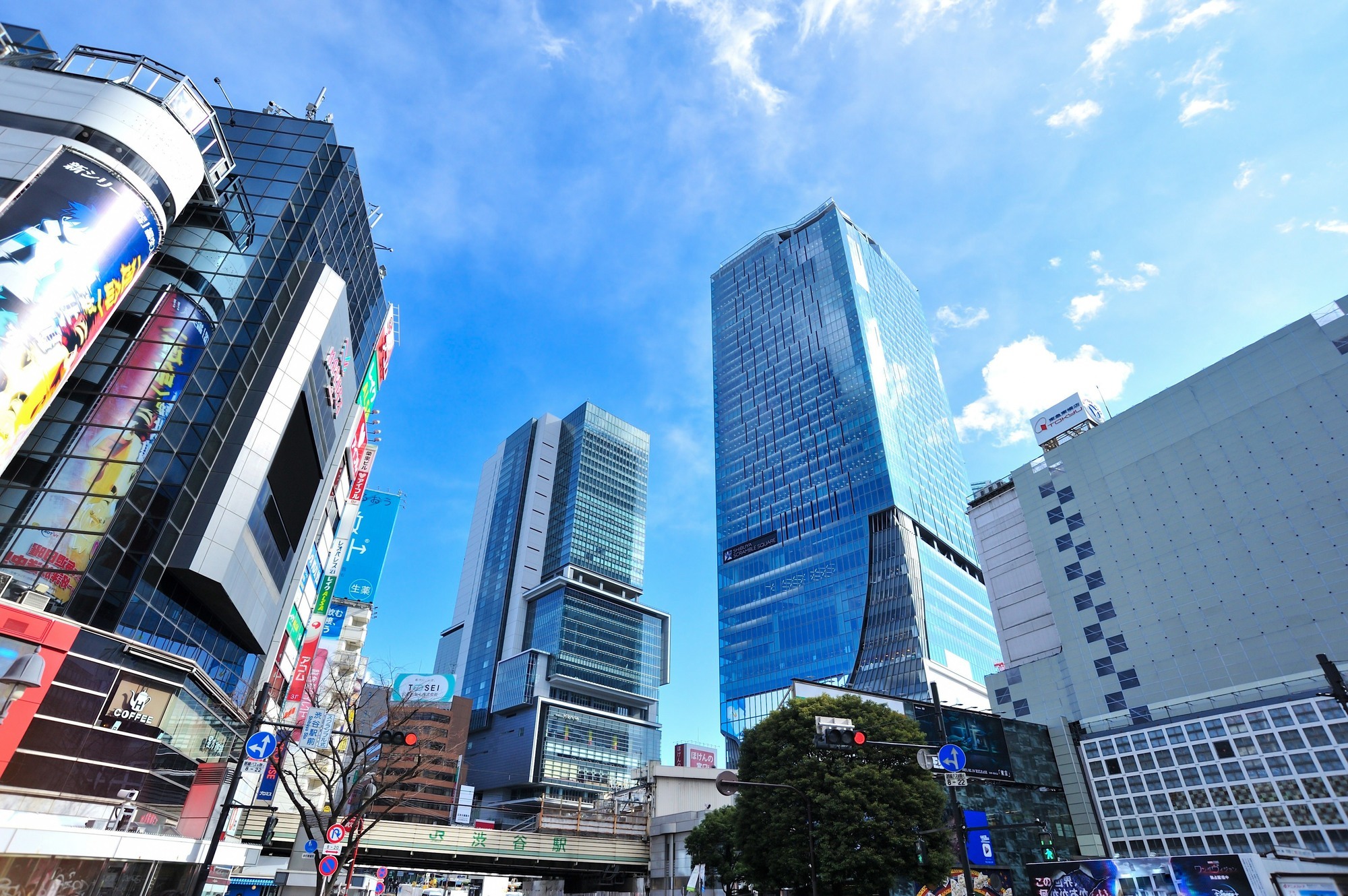 東京都渋谷区