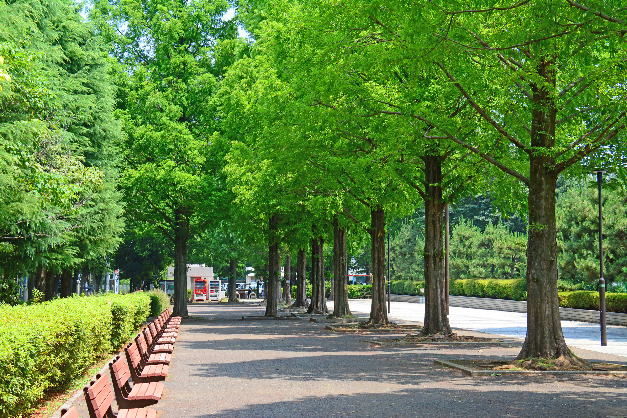 朝霞市の粗大ゴミの出し方・料金を徹底解説!おすすめの処分方法も紹介!