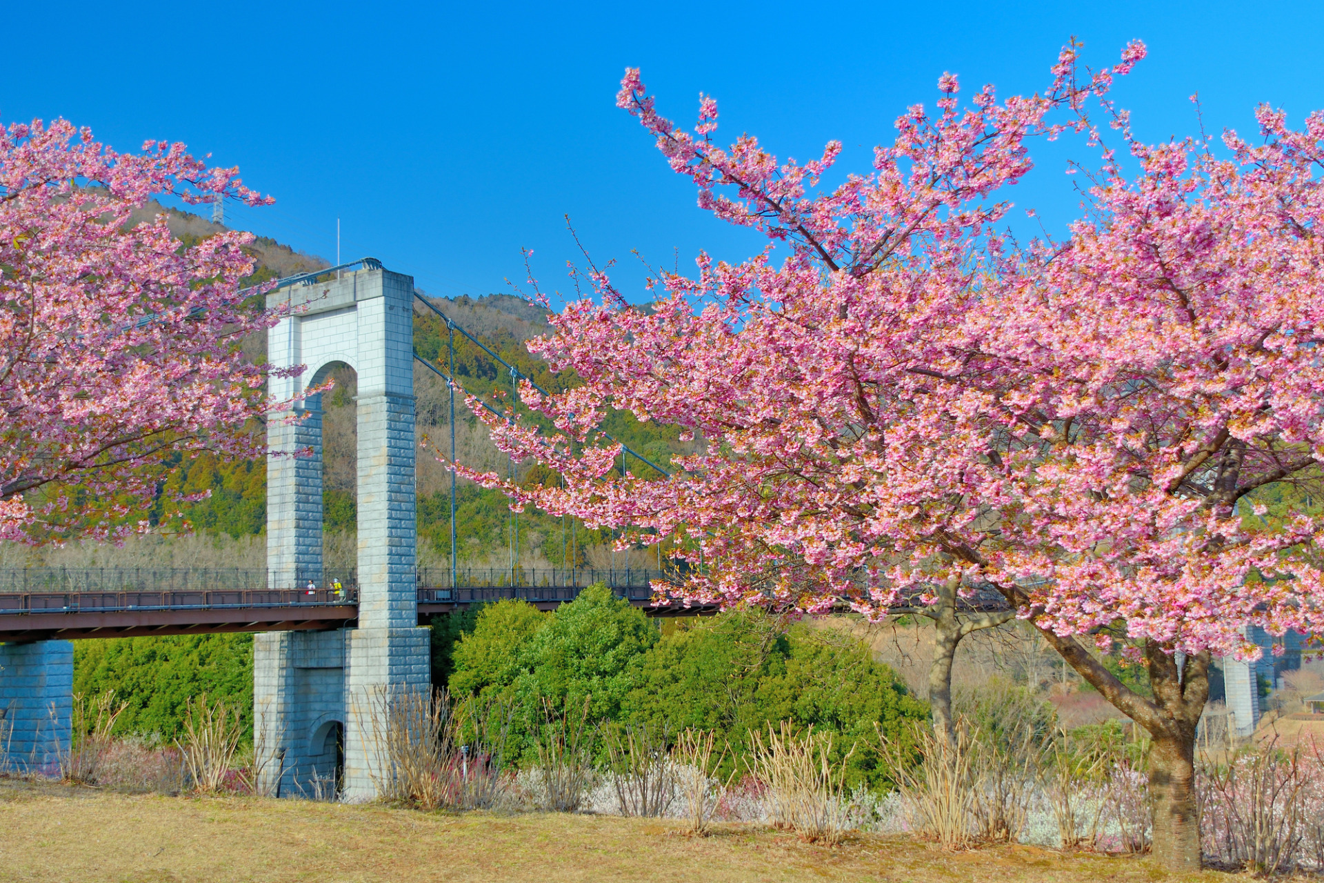 【秦野市での粗大ゴミの出し方】を紹介！他のお得な処分方法も解説します！